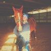 fern_0179
